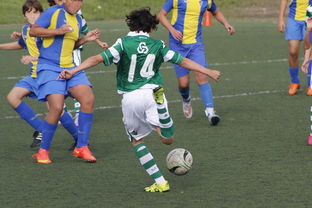 开云体育在线-波士顿凯尔特人血洗中国男篮，Perkz完成史诗逆转顶尖较量2025世界赛，留下经典瞬间