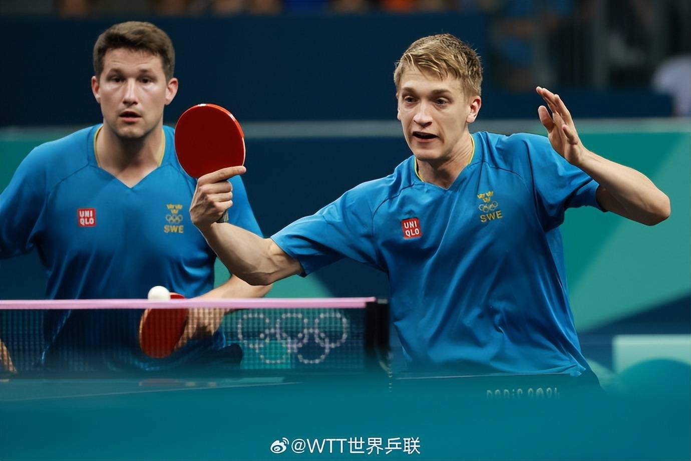 开云APP-法国乒乓球队完胜韩国乒乓球队，波尔爆发神勇的简单介绍
