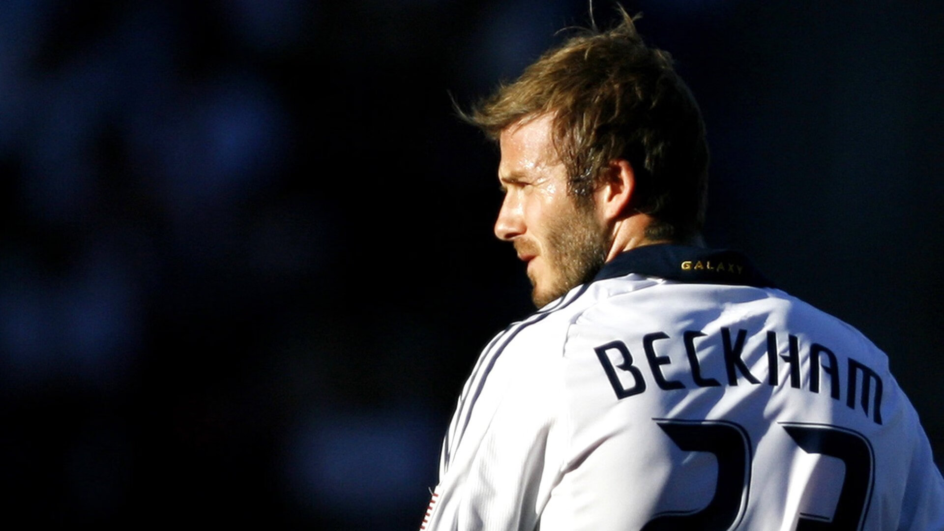 橙色帝国的黄昏，当卡拉斯科的利刃刺穿郁金香的骄傲